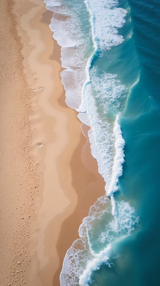 Aerial Beach Scene