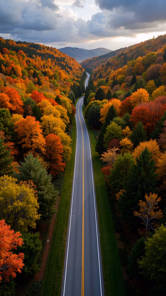 Autumn Road Illustration