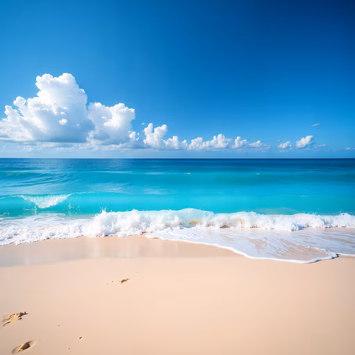 Beach Paradise