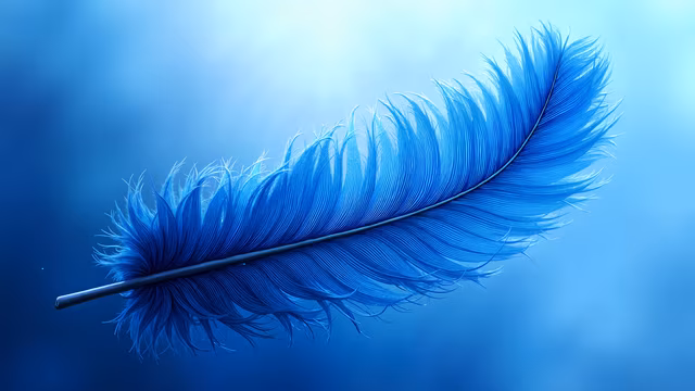 Blue Feather Illustration