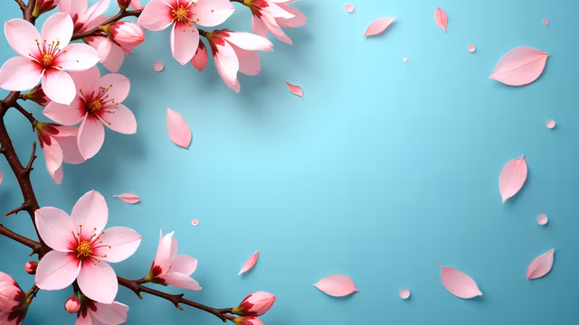 Cherry Blossoms Illustration