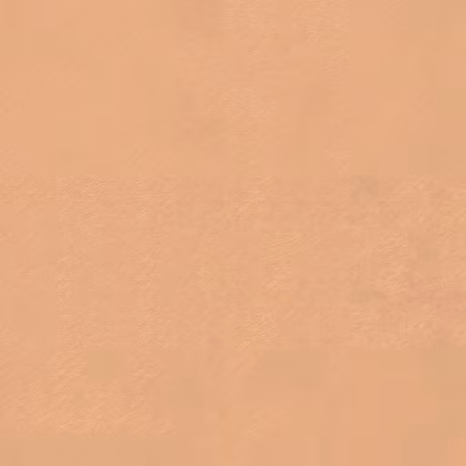 Desert Landscape Illustration