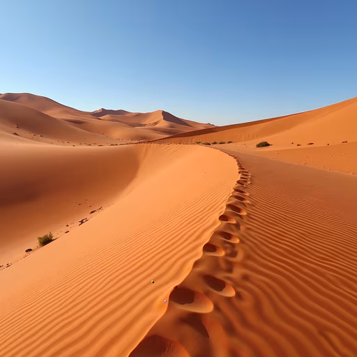 Desert Sands