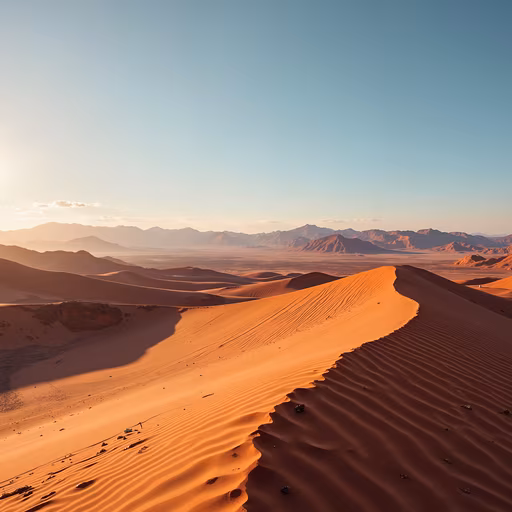 Desert Sands