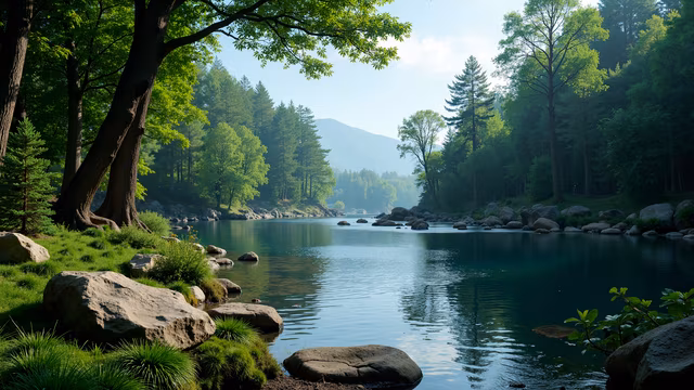 Forest Lake Realistic