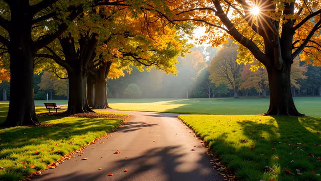 Golden Pathway