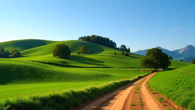 Green Hills and Dirt Road