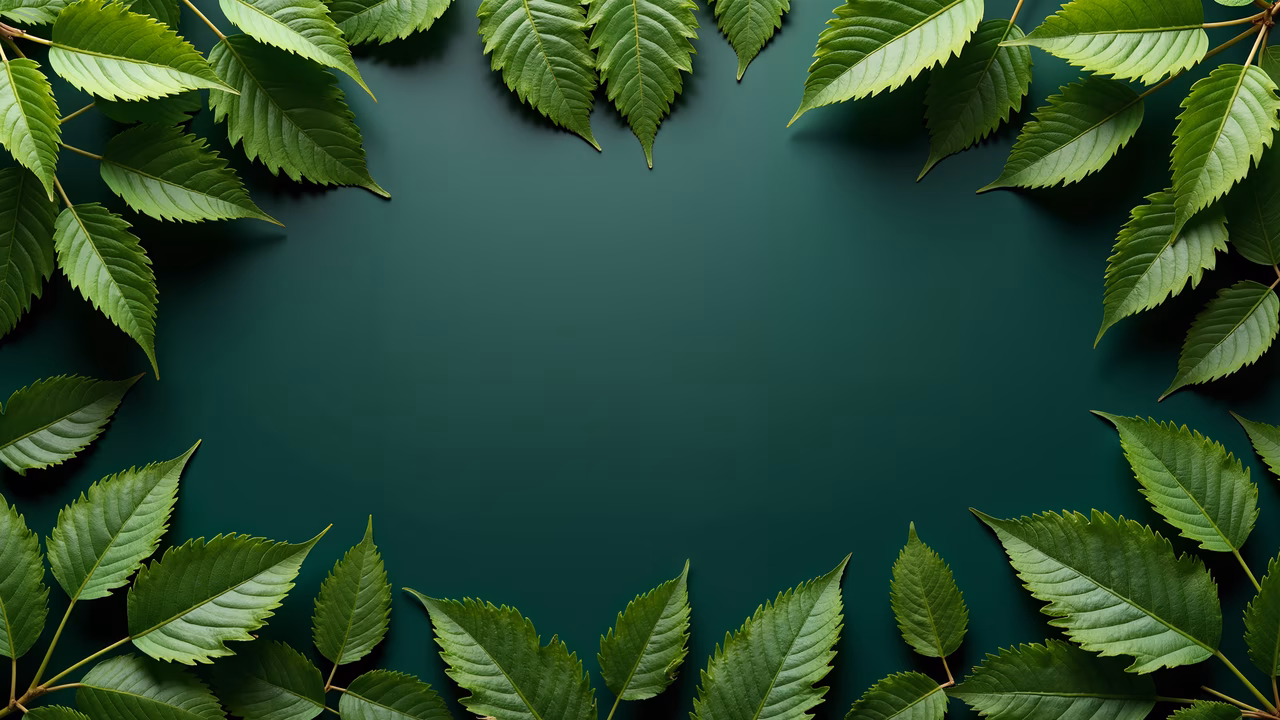 Symmetrical green leaf border on a deep green background, emphasizing nature and freshness.