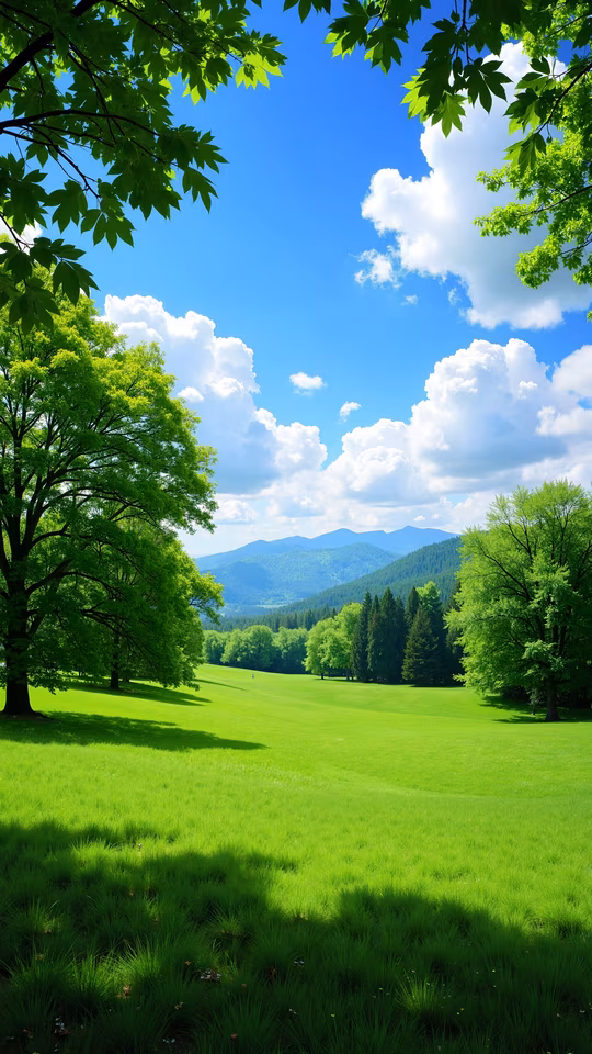 Green Meadow Under Blue Sky