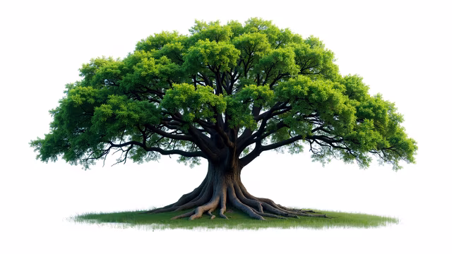 Green Tree Illustration