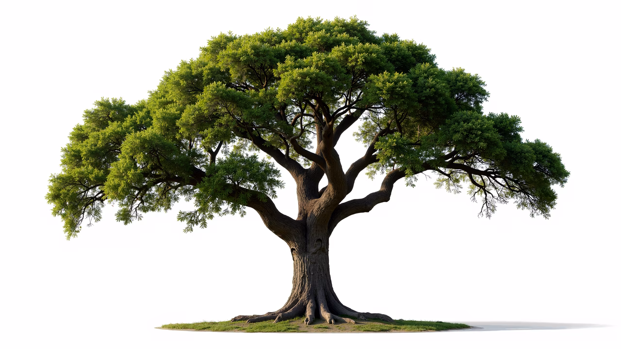 A detailed illustration of a large, vibrant green tree with intricate details and lush foliage.