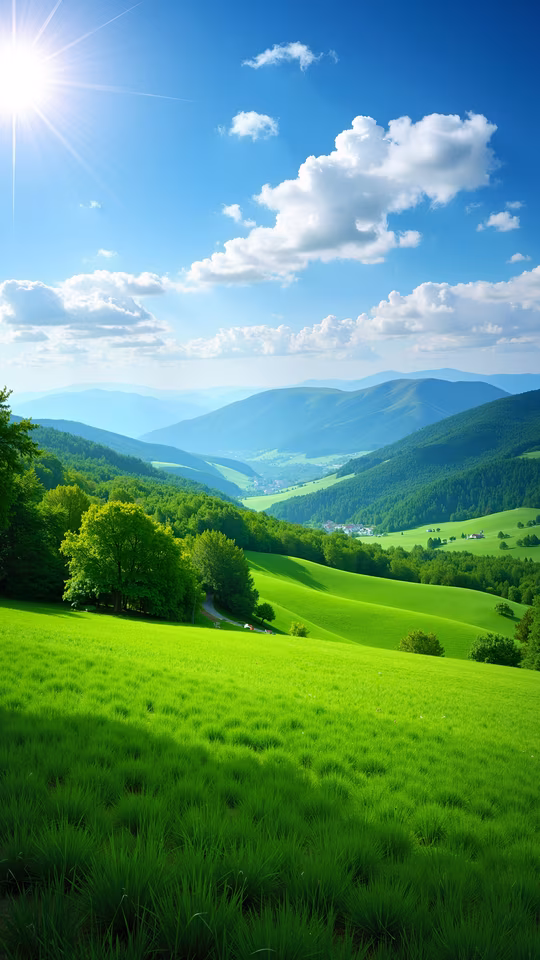 Green Valley Landscape Illustration