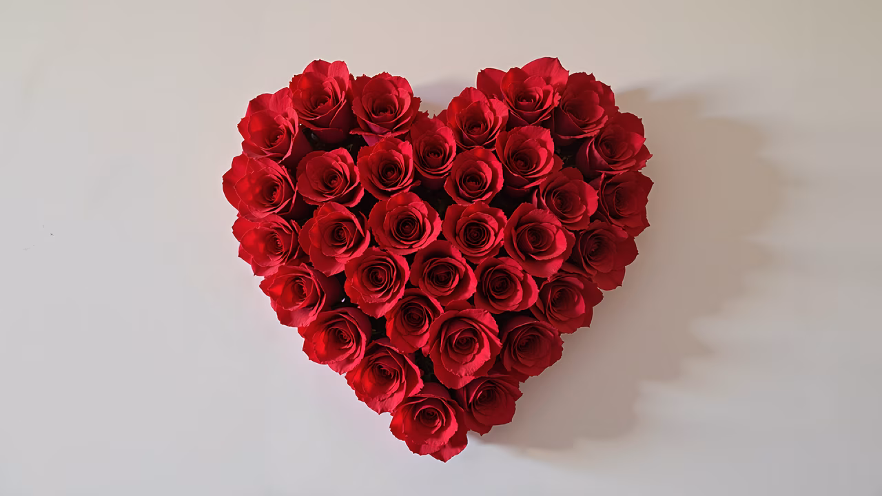 Heart-shaped arrangement of vibrant red roses on a white background