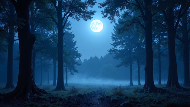 Misty Forest Moonlight