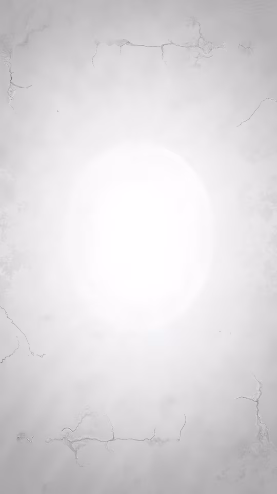 Moonlit Mist