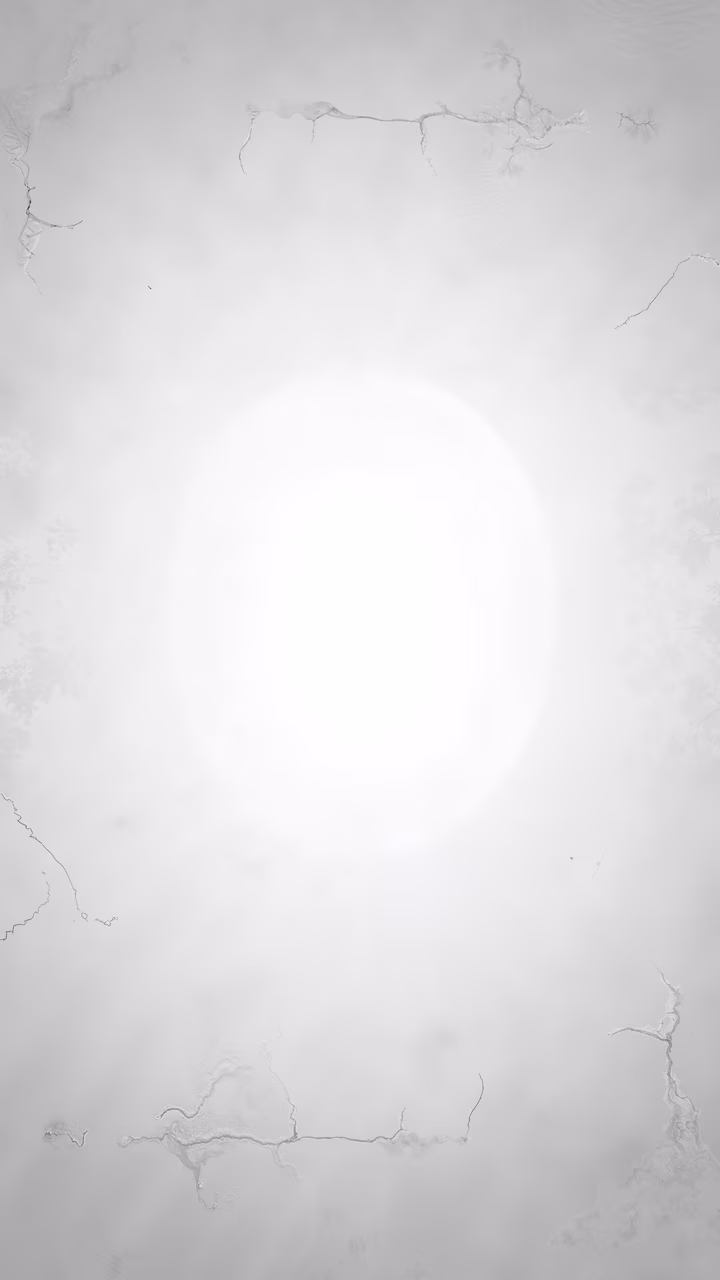 Abstract illustration of a full moon in misty surroundings with delicate tree branches, monochromatic palette, serene and mysterious ambiance.