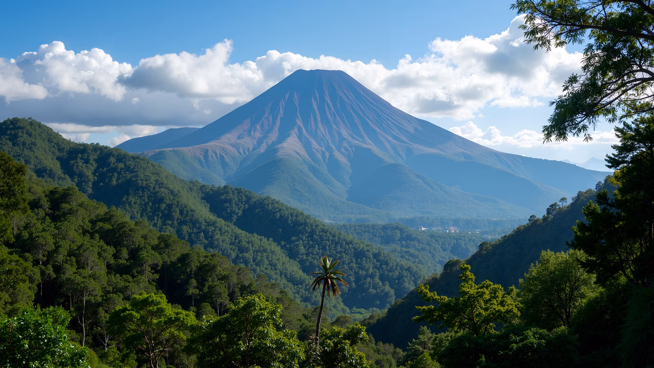 A stunning mountain peak surrounded by a lush forest under a clear blue sky.