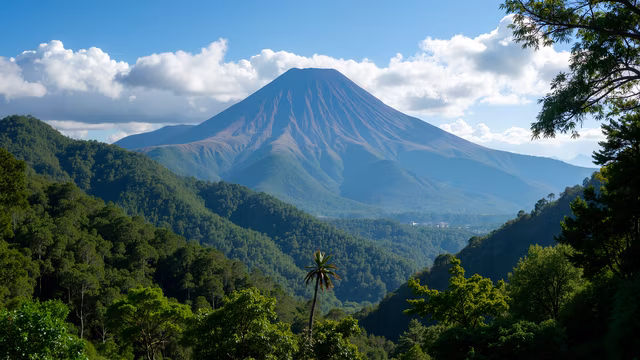 Mountain Peak with Lush Forest