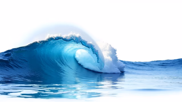 Ocean Wave Illustration