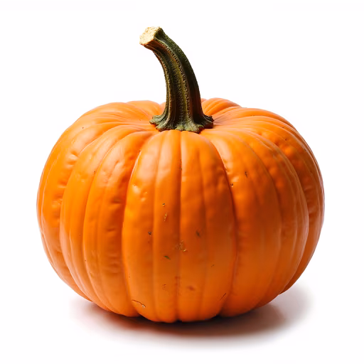 Pumpkin Illustration