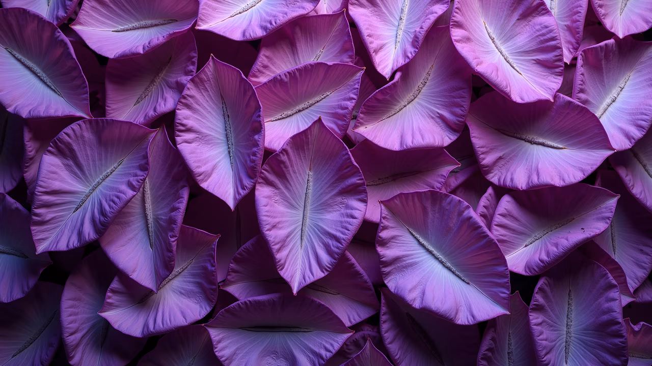 A detailed illustration of overlapping purple petals with intricate vein patterns and soft gradients.