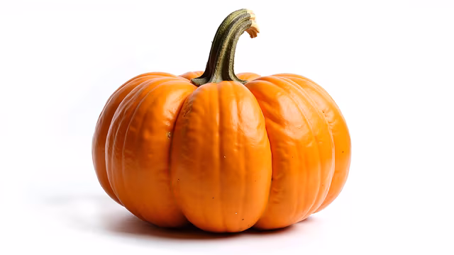 Realistic Pumpkin