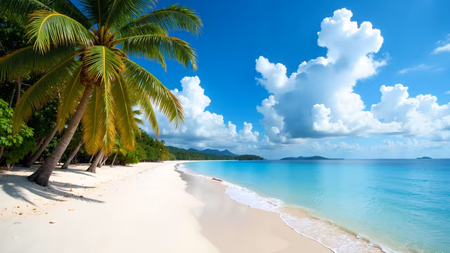 Tropical Paradise