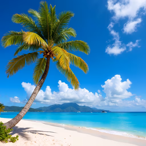 Tropical Paradise