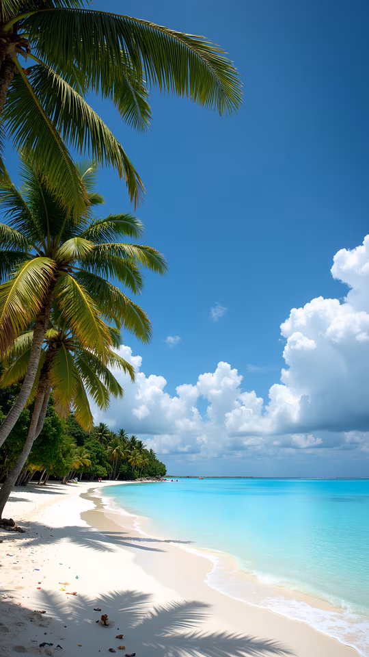 Tropical Paradise