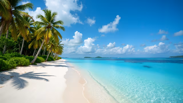 Tropical Paradise