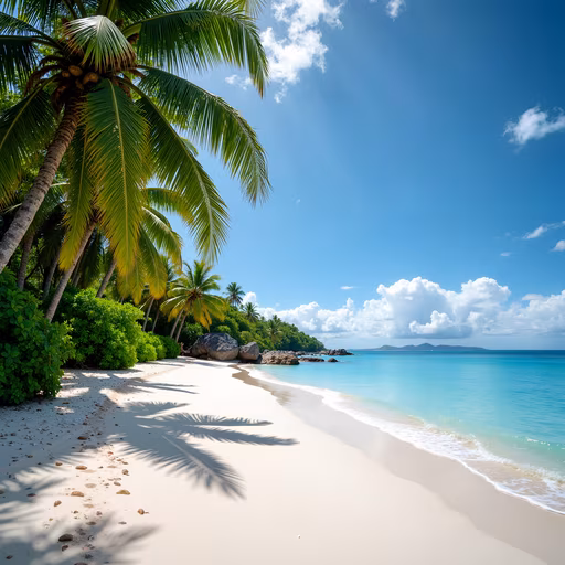 Tropical Paradise