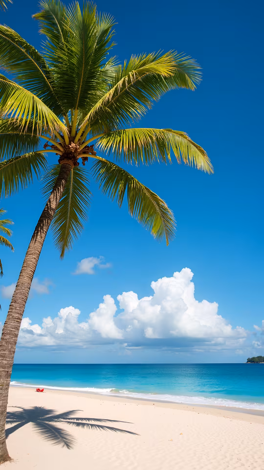 Tropical Paradise