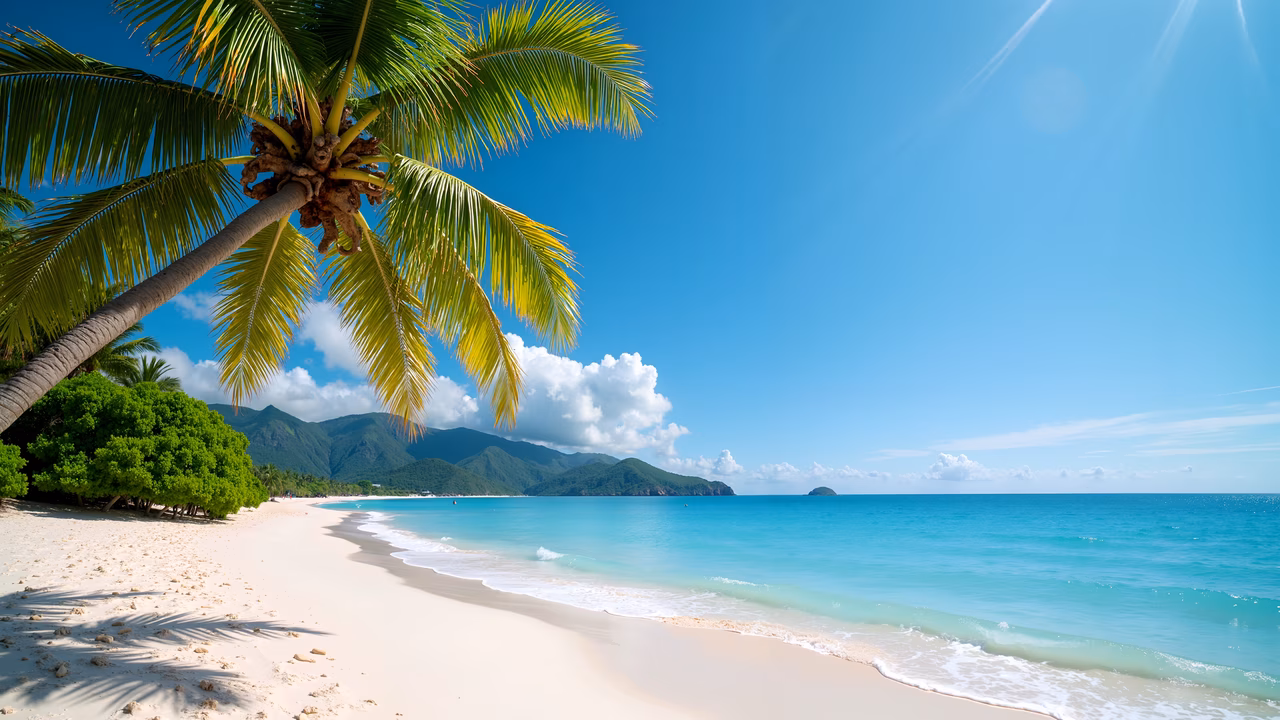 A tranquil tropical beach with a palm tree, turquoise waters, and green mountains under a clear blue sky.