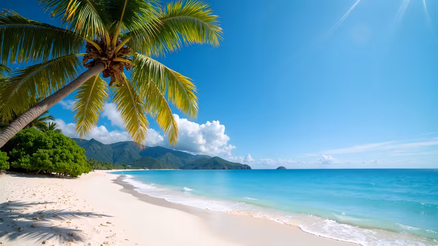 Tropical Paradise