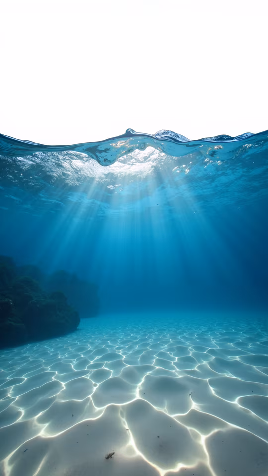 Underwater Paradise