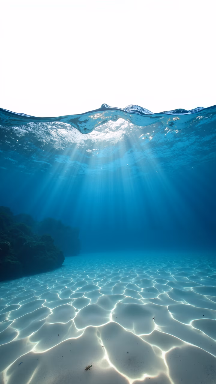 A tranquil underwater view with clear blue water and sunlight filtering through, featuring sandy ocean floors and coral formations.
