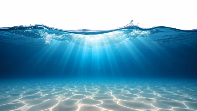 Underwater Sunlight Illustration