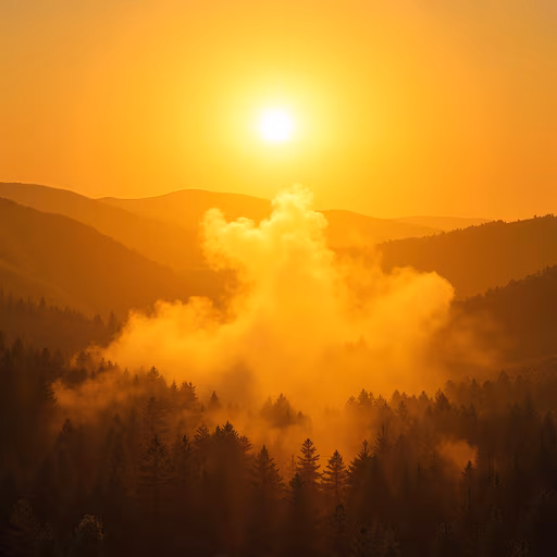 Golden Sunset Over Misty Forest