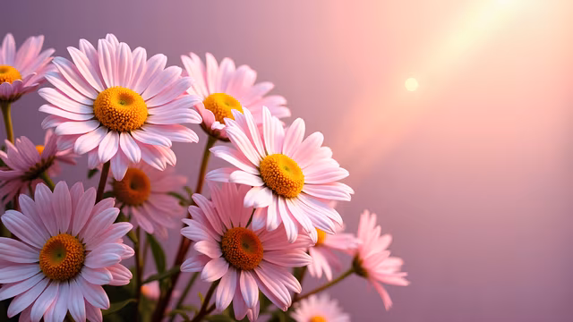 Pink Flowers at Sunset