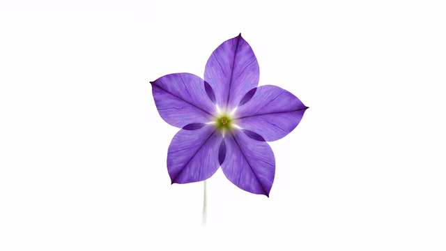 Purple Flower Illustration