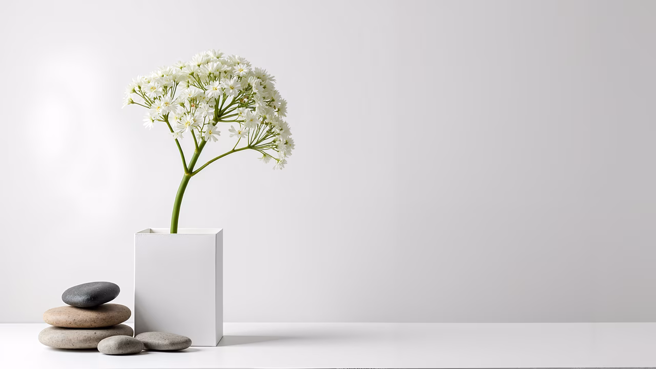 Minimalist still life with white flowers and stones, serene and tranquil atmosphere.