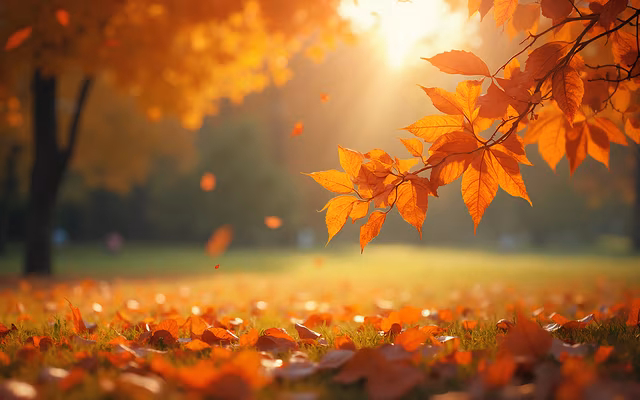 Autumn Serenity