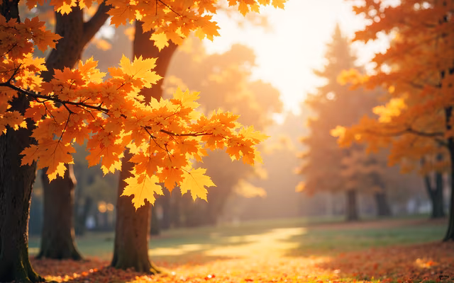Autumn Serenity