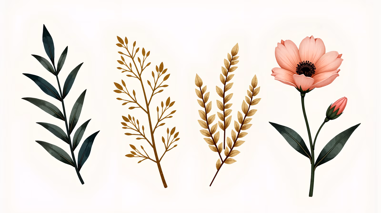 Detailed botanical illustrations in soft, natural colors.