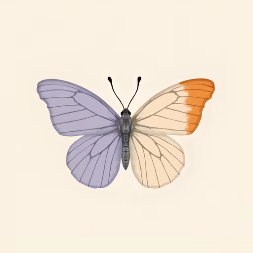 Butterfly Illustration