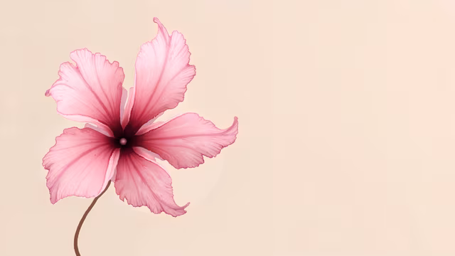 Pink Flower Illustration