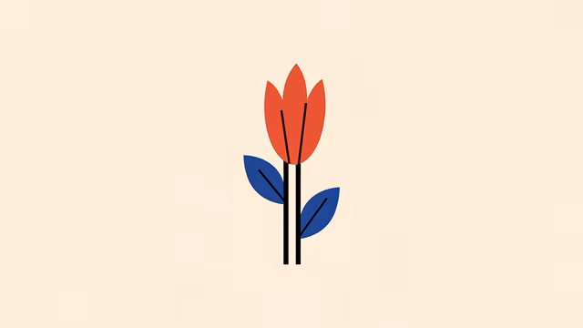 Red Tulip Illustration