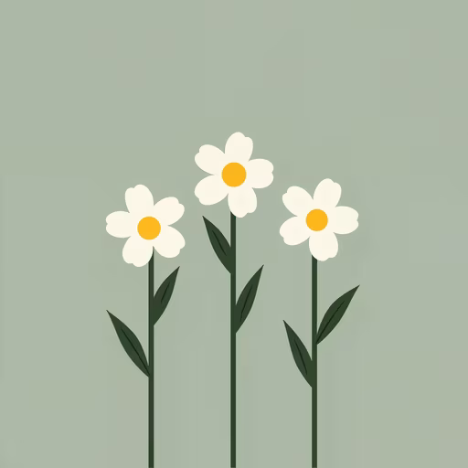 Three Daisies Illustration