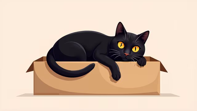 Black Cat in a Box