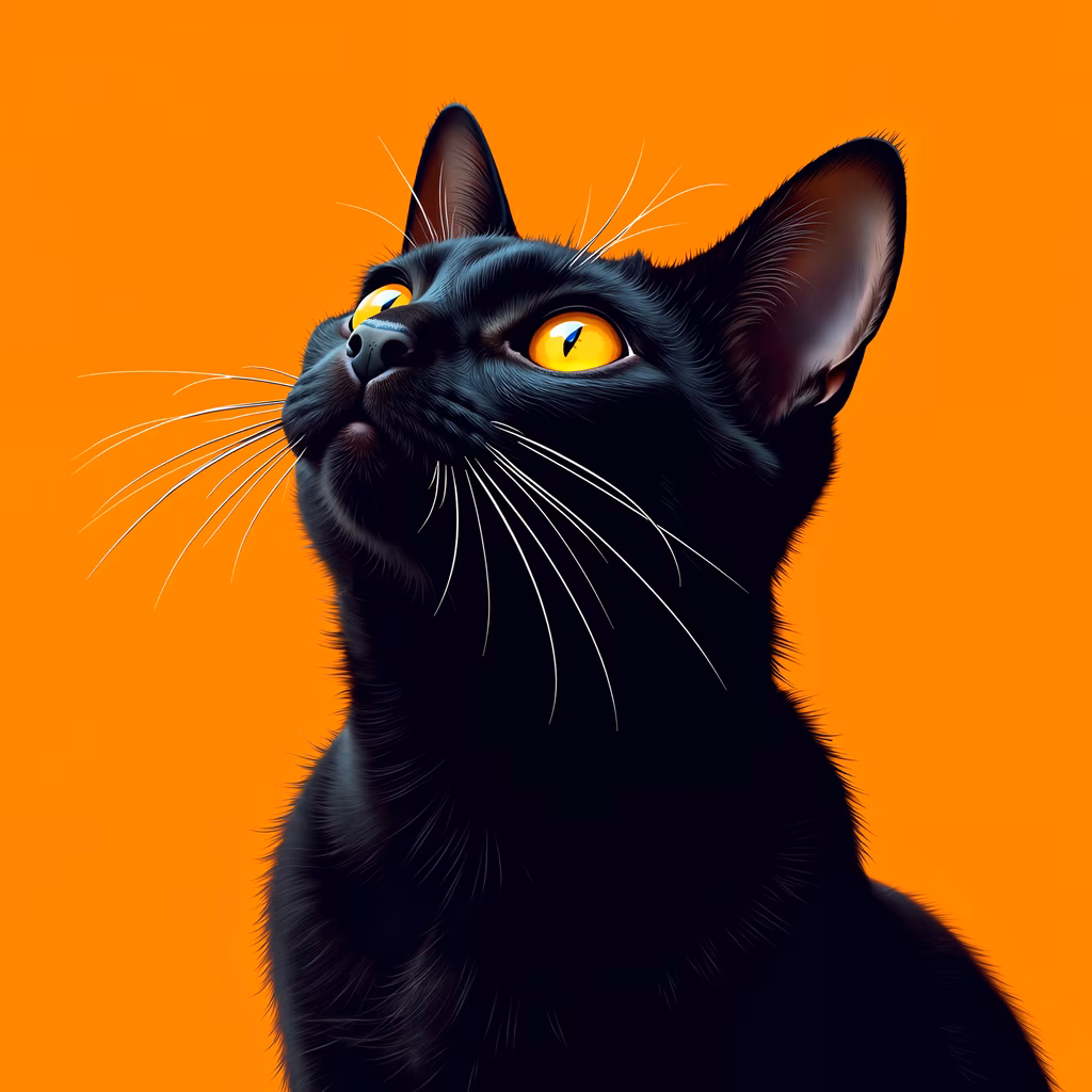 A mysterious black cat with glowing yellow eyes on an orange background.
